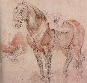 Peter Paul Rubens, Horse